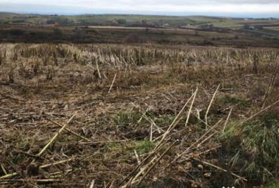 Teren de 5000 mp, în Central - 1