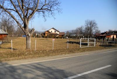 TEREN INTRAVILAN ULTRACENTRAL LA 6 KM DE SIGHET LA SOSEA PRINCIPALA ASFALTATA - 6