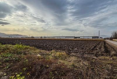 Teren industrial, intravilan, cu utilitati, Stupini, 11.600 mp - 2