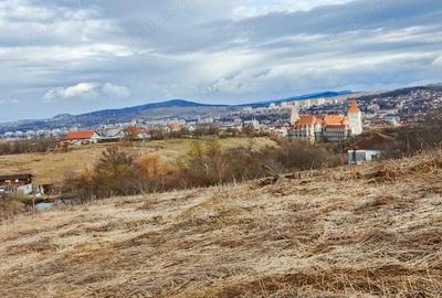 Teren de 24381 mp, în Central - 12