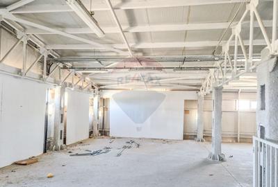 Hala beton P+E 1000 mp comercial, productie, depozitare Pipera Plaza - 2