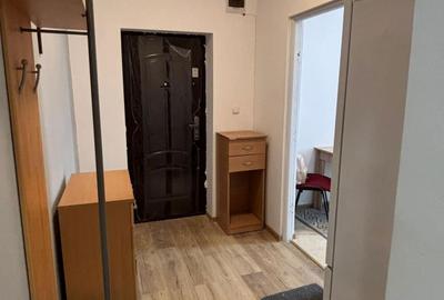 Garsonieră semidecomandată în Viile Satu Mare - 1