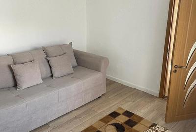 Casă cu 2 camere cu Teren 300 Mp în Voluntari - 3