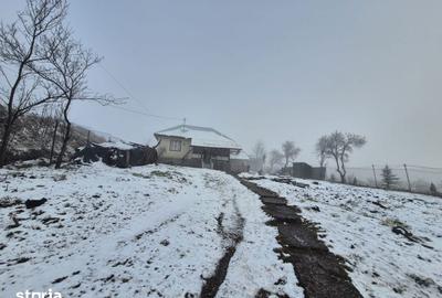 Casă cu 2 camere cu Teren 5135 Mp în Dobreni - 1