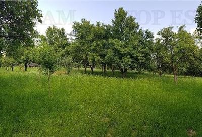 Teren intravilan Campulung  2.957 mp cu livada, anexa si acces utilitati, Campu - 2