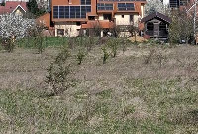 Spațiu comercial, în Calea Sighisoarei