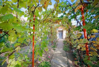 Casa cu 2 camere de vanzare in zona Iosia Strada Artarilor - 18