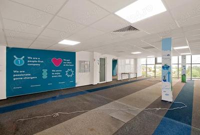 Bulevardul Cosbuc 116-118 - MaxFit - Birouri Premium - 9