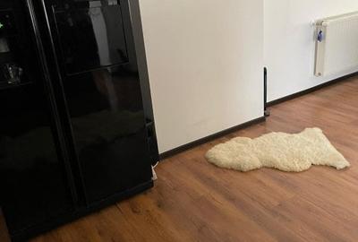 Casă individuală cu 8 camere cu Canalizare în Central - 9