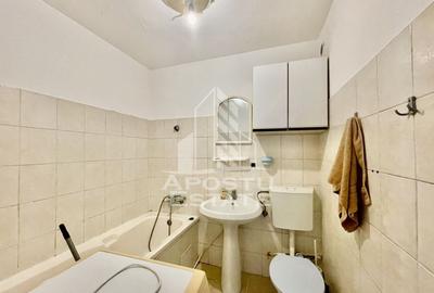 Apartament 1 Camera, 210 Euro, zona Alfa - 5