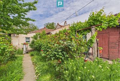 Casă cu 4 camere cu Teren 705 Mp în Lipovei - 4