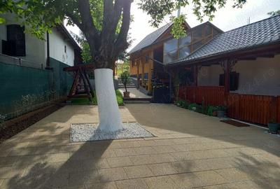 Vind 2 case Carei Satu-Mare,singur in curte - 1