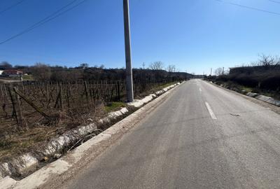 Teren intravilan de 2700 mp, în Movilița - 3