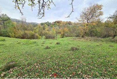 Casă cu Teren 14340 Mp în Breaza - 7