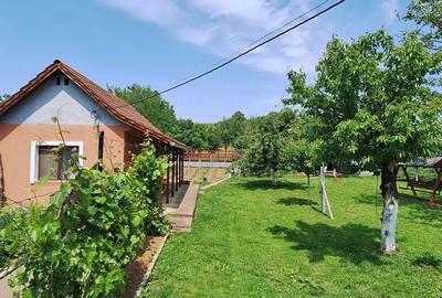 Casă cu Teren 800 Mp în Central - 5