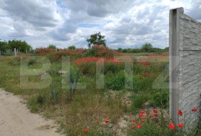 Teren extravilan, cart. Cernele, 400 mp, 22 deschidere - 6