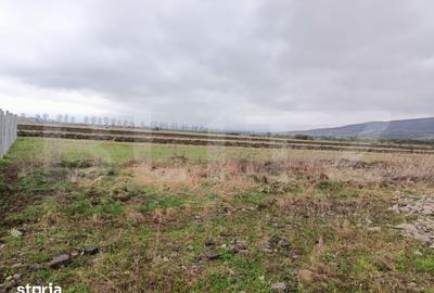 Teren de 700 mp, în Central
