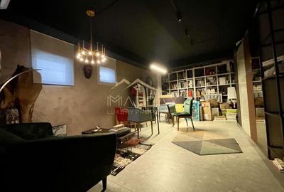 Duplex 3 camere//Birou***Showroom***DOMENII//PARTER+ Demisol - 5