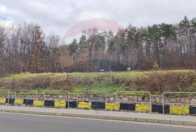 Oportunitate investi?ie B. Felix teren intravilan cu PUZ 1157 mp DN 76 - 4