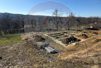 Teren Construcții intravilan de 1170 mp, în Cărbunari - 8