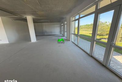Spațiu comercial, de 172 mp, în Turnișor - 3