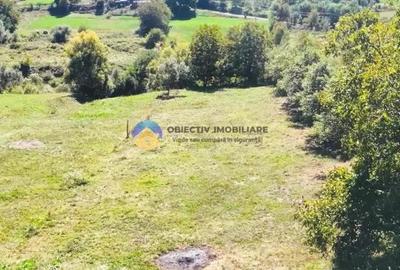 TEREN intravilan 2510 mp BORLE?TI - ?OVOAIA - 5
