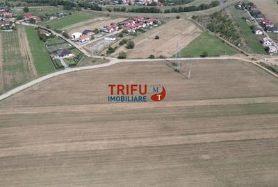 Teren intravilan cu apa si canalizare posibilitate de extindere - 6