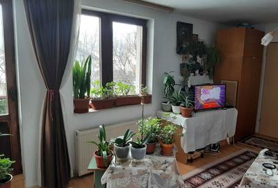 Garsonieră semidecomandată în Noua - 1