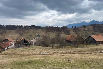 Teren intravilan 2.881 mp Șimon - Vedere panoramică Bucegi - Utilități incluse - 5