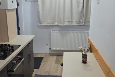 Garsoniera la curte, centrala proprie, Aparatorii Patriei metrou 5' mers pe jos - 9