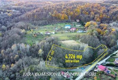 Teren Construcții intravilan de 4726 mp, în Morilor - 3