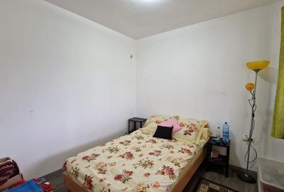 Casă spațioasă de vanzare, 4 camere, 6 Ari, Săsar - Comision 0% - 6