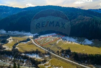 Teren intravilan de 10000 mp, în Brădet - 10