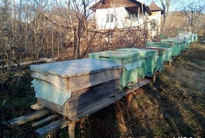 Casă cu 4 camere cu Teren 2000 Mp în Bujoreni - 6