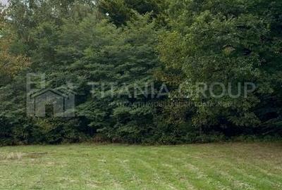 Teren intravilan, cu PUZ, Bran Tohanita, pârâu, pădure și priveliște de vis Teren intravilan, cu PUZ, Bran Tohanita, pârâu, pădure și priveliște de vis - 3