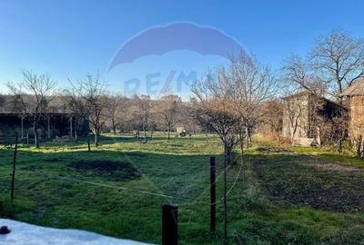Casa / Vila cu 4 camere de vanzare - 6