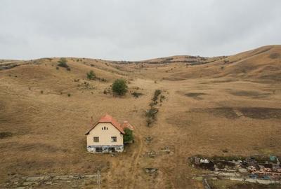 Teren de 540000 mp, în Măhăceni - 2