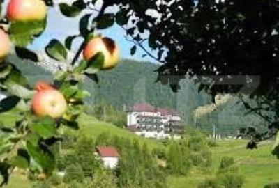 Teren 13.570 mp, Moieciu Pestera Teren 13.570 mp, Moieciu Pestera - 2