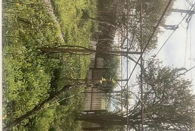 Casă cu 2 camere în Central - 1