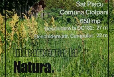 Teren de vanzare Ciolpani, sat Piscu - 2