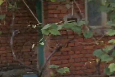 Casă cu 4 camere în Crivina - 3