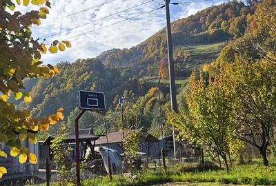 Casă cu 4 camere cu Teren 1800 Mp în Bulz - 1