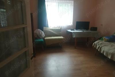 Casă cu 2 camere în Diosig - 6