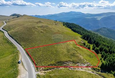 Teren de 10000 mp, în Moroeni