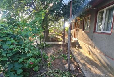 Casa batraneasca Ceamurila de jos - 3