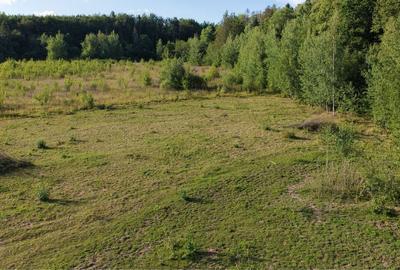 Spațiu comercial, în Vicovu de Sus - 2