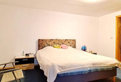 Proprietate investitionala cu  mai multe apartamente-singur in curte - 18