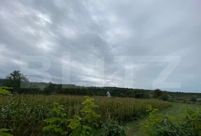 Teren intravilan de vanzare, 2.691 mp Mari?elu, jude? - 2