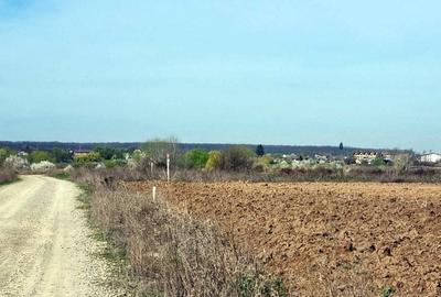 Teren Construcții intravilan de 4430 mp, în Ostratu - 2