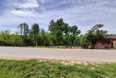 Teren 2900 m2, com. Salcuta, Jud. Dolj - 3